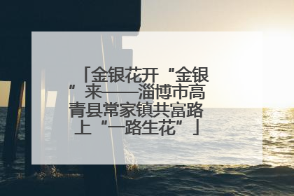 金银花开“金银”来——淄博市高青县常家镇共富路上“一路生花”
