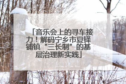 音乐会上的寻车接力！解码宁乡市夏铎铺镇“三长制”的基层治理新实践