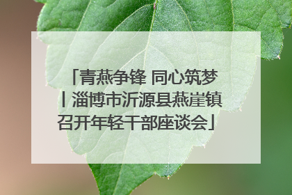 青燕争锋 同心筑梦丨淄博市沂源县燕崖镇召开年轻干部座谈会