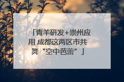 青羊研发+崇州应用 成都这两区市共舞“空中芭蕾”