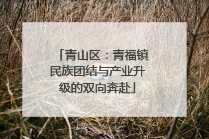 青山区：青福镇民族团结与产业升级的双向奔赴