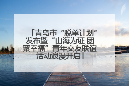 青岛市“脱单计划”发布暨“山海为证 团聚幸福”青年交友联谊活动浪漫开启
