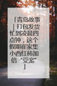 青岛故事｜打包发货忙到凌晨四点钟，这个假期崔家集小西红柿加倍“受宠”