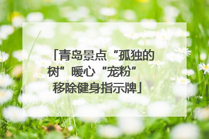 青岛景点“孤独的树”暖心“宠粉” 移除健身指示牌