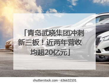 青岛武晓集团冲刺新三板！近两年营收均超20亿元