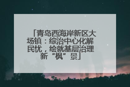 青岛西海岸新区大场镇：综治中心化解民忧，绘就基层治理新“枫”景