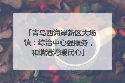 青岛西海岸新区大场镇：综治中心强服务，和谐港湾暖民心