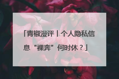 青椒漫评丨个人隐私信息“裸奔”何时休？