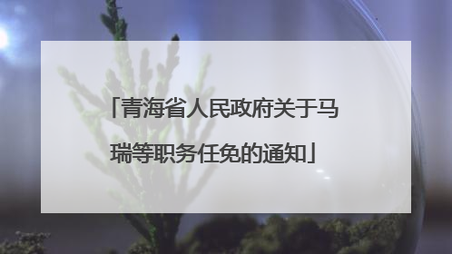 青海省人民政府关于马瑞等职务任免的通知