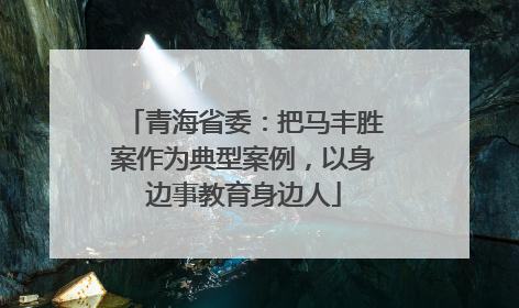 青海省委：把马丰胜案作为典型案例，以身边事教育身边人
