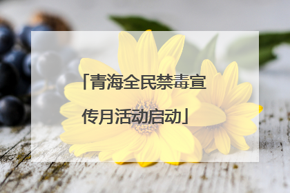 青海全民禁毒宣传月活动启动