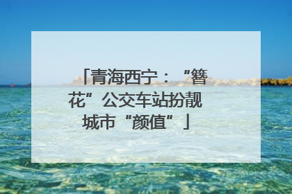 青海西宁：“簪花”公交车站扮靓城市“颜值”
