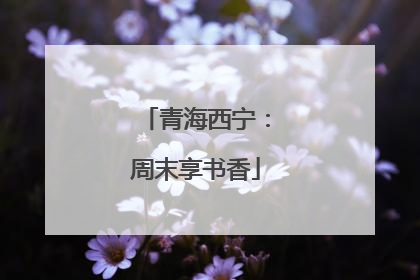 青海西宁：周末享书香