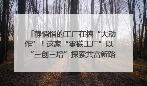 静悄悄的工厂在搞“大动作”！这家“零碳工厂”以“三创三增”探索共富新路径｜网络名人四川行