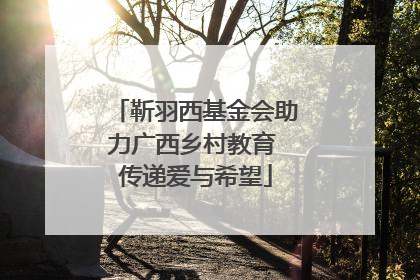 靳羽西基金会助力广西乡村教育 传递爱与希望
