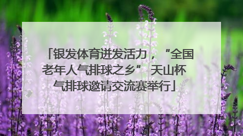银发体育迸发活力，“全国老年人气排球之乡” 天山杯气排球邀请交流赛举行