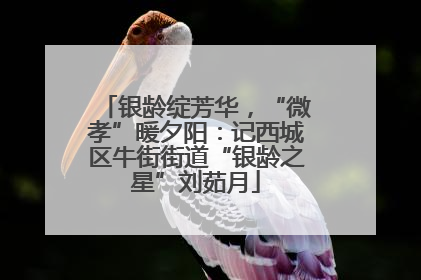 银龄绽芳华，“微孝”暖夕阳：记西城区牛街街道“银龄之星”刘茹月