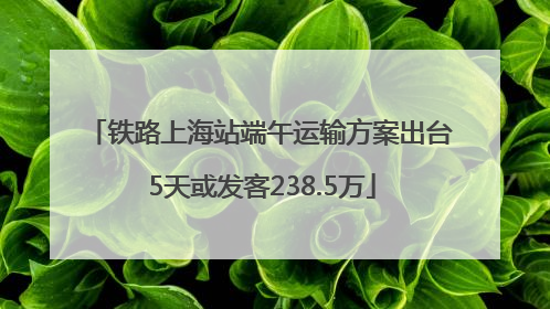 铁路上海站端午运输方案出台 5天或发客238.5万