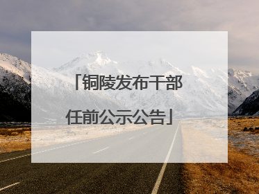 铜陵发布干部任前公示公告
