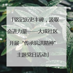 铭记历史丰碑，汲取奋进力量——大成社区开展“传承抗洪精神”主题党日活动