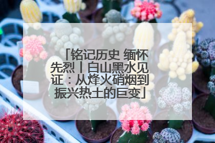 铭记历史 缅怀先烈丨白山黑水见证：从烽火硝烟到振兴热土的巨变