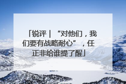 锐评｜“对他们，我们要有战略耐心”，任正非给谁提了醒