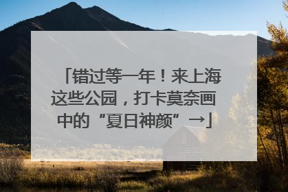 错过等一年！来上海这些公园，打卡莫奈画中的“夏日神颜”→