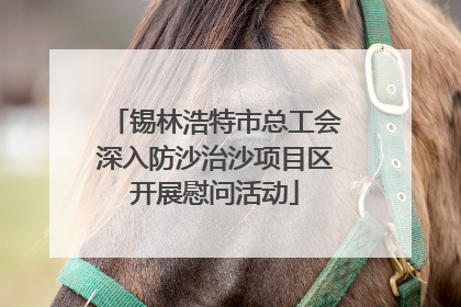 锡林浩特市总工会深入防沙治沙项目区开展慰问活动