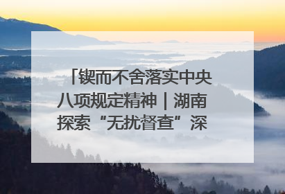 锲而不舍落实中央八项规定精神｜湖南探索“无扰督查”深化基层减负