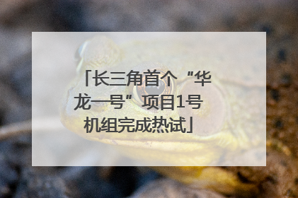 长三角首个“华龙一号”项目1号机组完成热试