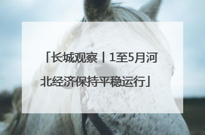长城观察丨1至5月河北经济保持平稳运行