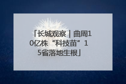 长城观察｜曲周10亿株“科技苗”15省落地生根