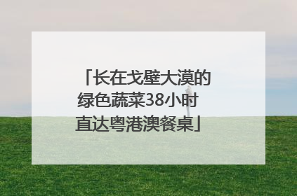 长在戈壁大漠的绿色蔬菜38小时直达粤港澳餐桌
