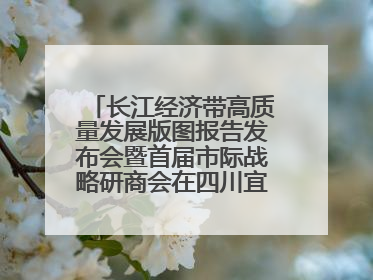 长江经济带高质量发展版图报告发布会暨首届市际战略研商会在四川宜宾成功举办