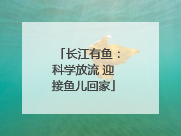 长江有鱼：科学放流 迎接鱼儿回家