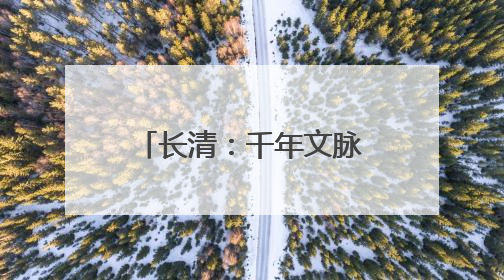 长清：千年文脉邂逅数字浪潮