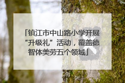 镇江市中山路小学开展“升级礼”活动，覆盖德智体美劳五个领域