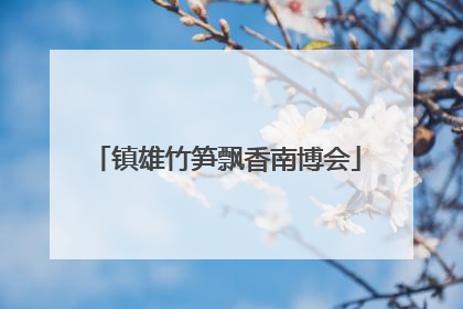 镇雄竹笋飘香南博会