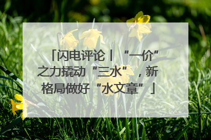 闪电评论丨“一价”之力撬动“三水”，新格局做好“水文章”