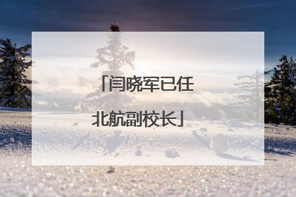 闫晓军已任北航副校长