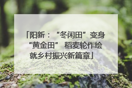 阳新：“冬闲田”变身“黄金田” 稻麦轮作绘就乡村振兴新篇章