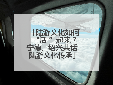 陆游文化如何“活 ”起来？宁德、绍兴共话陆游文化传承
