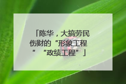 陈华，大搞劳民伤财的“形象工程”“政绩工程”