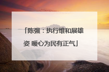 陈强：执行维和展雄姿 暖心为民有正气