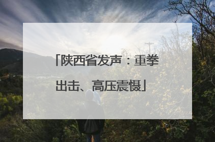 陕西省发声：重拳出击、高压震慑