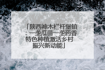 陕西神木栏杆堡镇：一垄瓜苗一垄药香 特色种植激活乡村振兴新动能