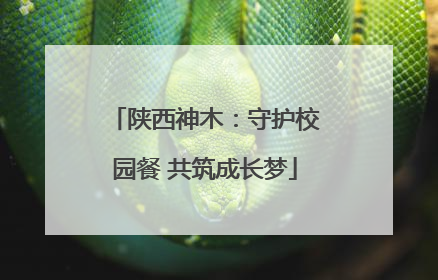 陕西神木：守护校园餐 共筑成长梦