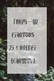 陕西一银行被罚85万！时任行长被警告