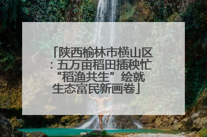 陕西榆林市横山区：五万亩稻田插秧忙 “稻渔共生”绘就生态富民新画卷