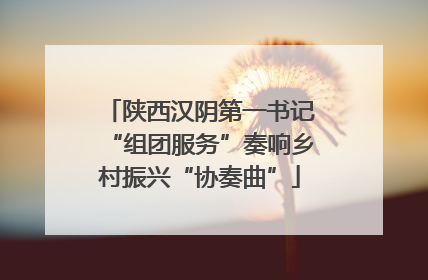 陕西汉阴第一书记“组团服务”奏响乡村振兴“协奏曲”